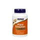 Plant Enzymes (120 Veg Capsules)