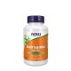 Astragalus 500 mg (100 Veg Capsules)