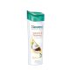 Volume Thickness Shampoo  (400 ml, Coconut)