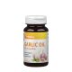 Garlic Oil with 15 mg allicin (90 Softgels) Garlic Oil with 15 mg allicin (90 Softgels)