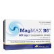 MagMAX B6 (50 Tablets)