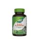 Black Elderberry (100 Capsules)