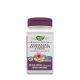Echinacea Astragalus & Reishi (100 Capsules)