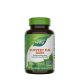 Slippery Elm Bark (100 Capsules) Slippery Elm Bark (100 Capsules)