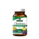 Damiana Leaves (90 Veg Capsules)