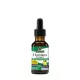 Damiana Extract (30 ml)