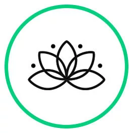Beauty & Wellness