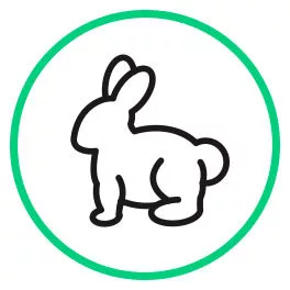 Supplements for pets