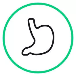 Digestive system support