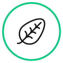 Herbal Extracts