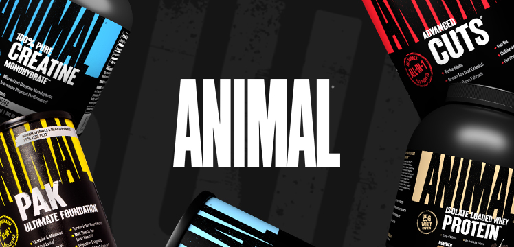 Viola Paris Header Mobil